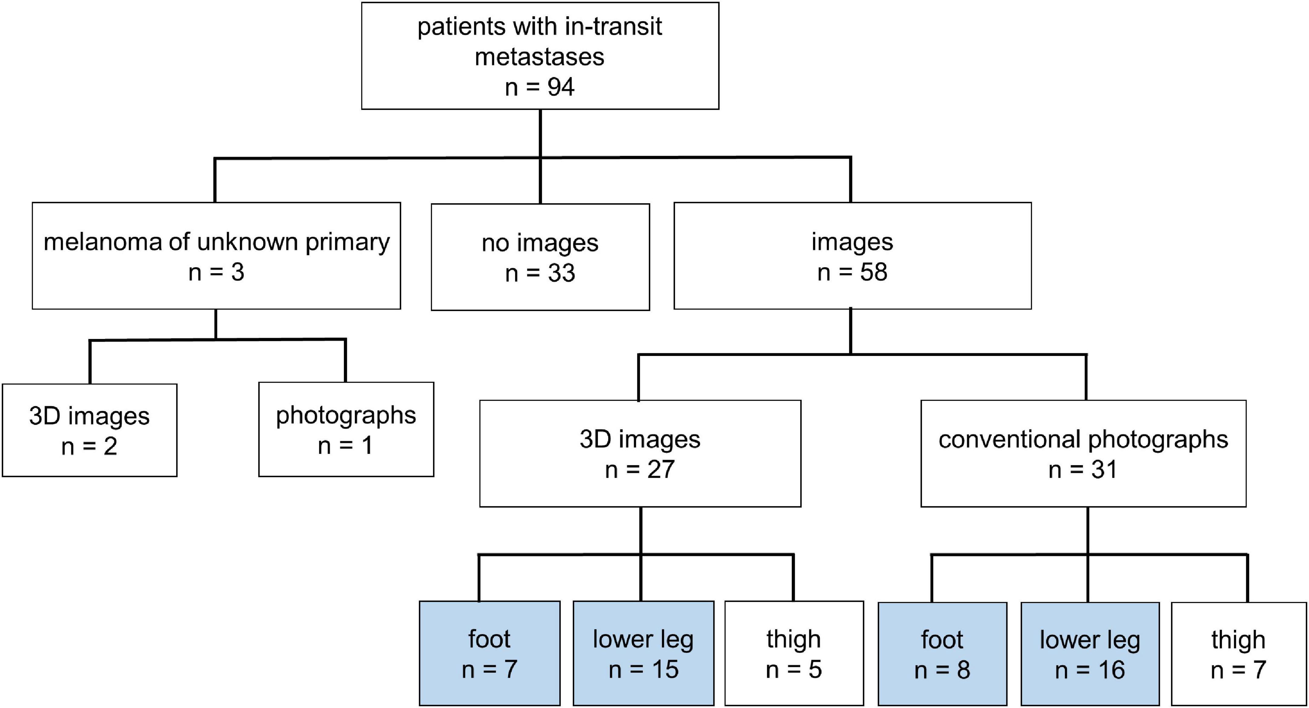 Conventional and three-dimensional photography as a tool to map distribution patterns of in-transit melanoma metastases on the lower extremity